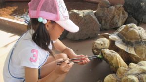 水族園ナイトつあー2015_7969