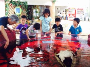 水族園ナイトつあー2015_8740