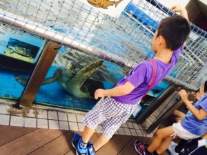 水族園ナイトつあー2015_1656