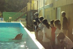 水族園ナイトつあー2015_7725