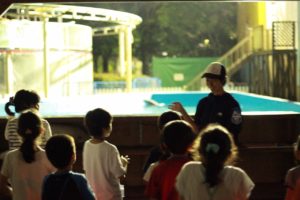 水族園ナイトつあー2015_349_0